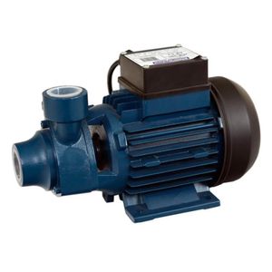 Motobomba 1cv Standard 220V ICS100A Eletroplas