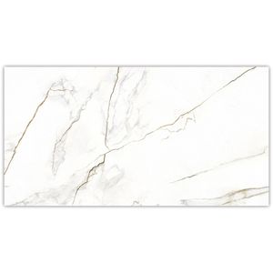 Porcelanato Polido Vene Doro 60 x 120 cm 2856 Delta